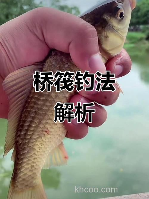桥上怎么钓鲫鱼
