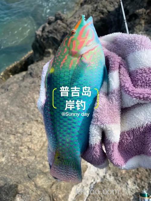 台钓鳗鱼的实用方法及钓点选择，你知道多少？