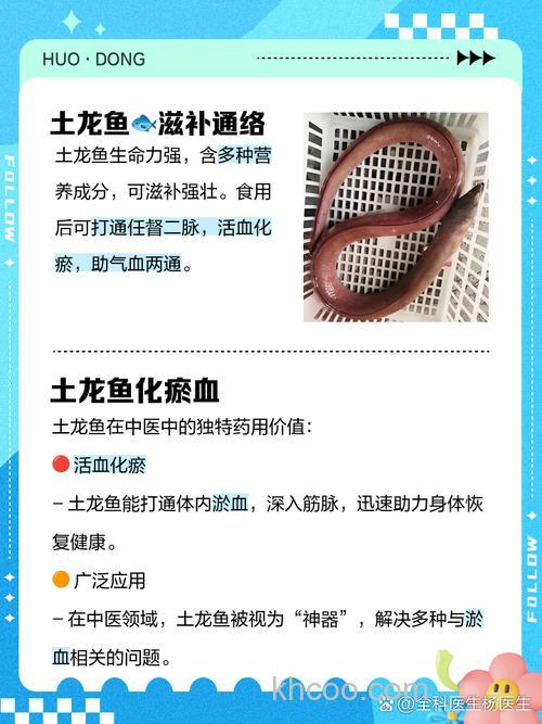 哪个鱼都咬过蚯蚓怎么还能烧来吃