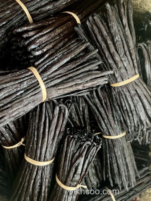 香荚兰豆诱鱼效果？