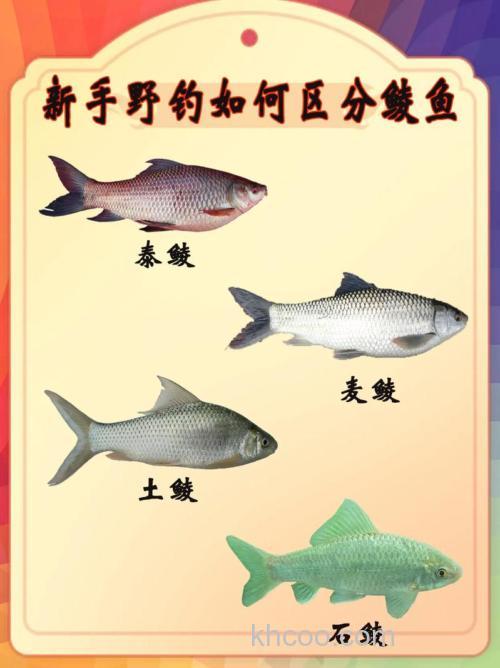 根据鲮鱼的习性、群体特征、食性确定钓法