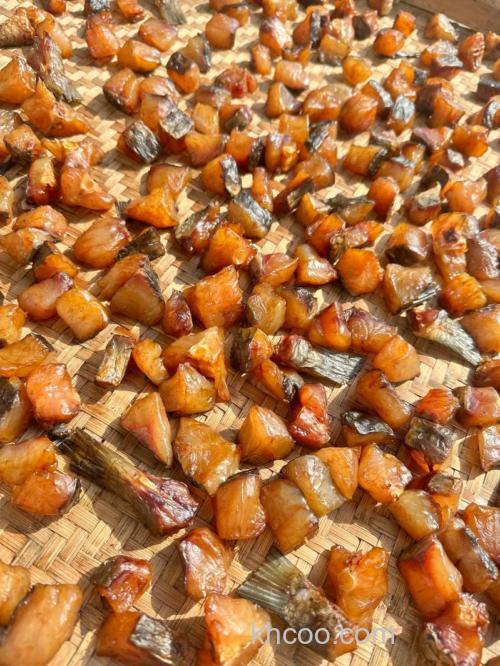 酒糟能喂鱼吗？