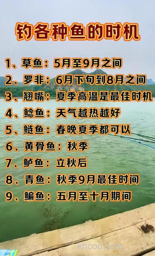 初秋野钓鲤鱼的四个时间段