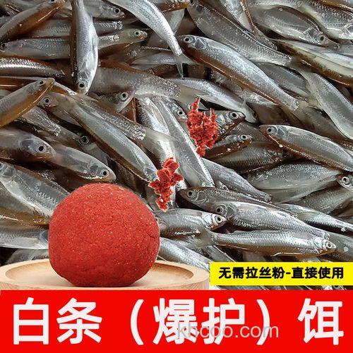 公认钓白条最快的饵料？