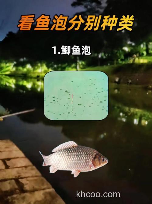 野钓鲫鲤草青鱼泡各不相同，看的懂？
