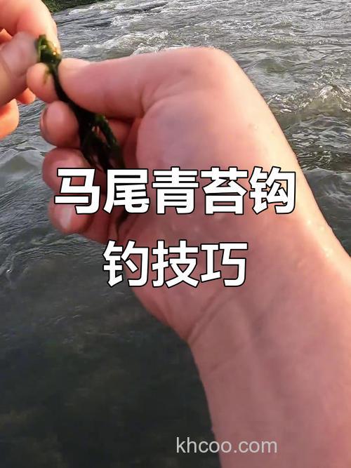 有青苔的野塘怎样钓鲫鱼