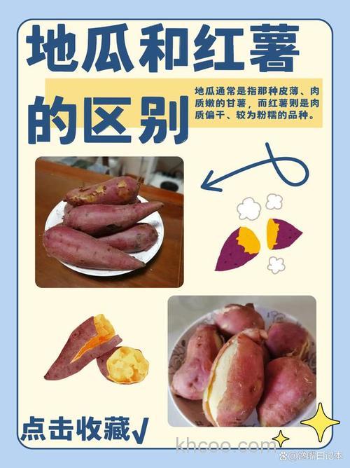 薯诱和红薯膏的区别？