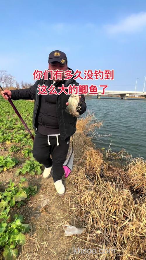 冬季大太阳天怎么钓鲫鱼？