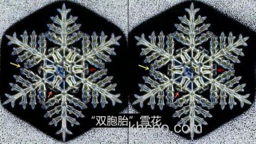 为什么雪花片片不相同?