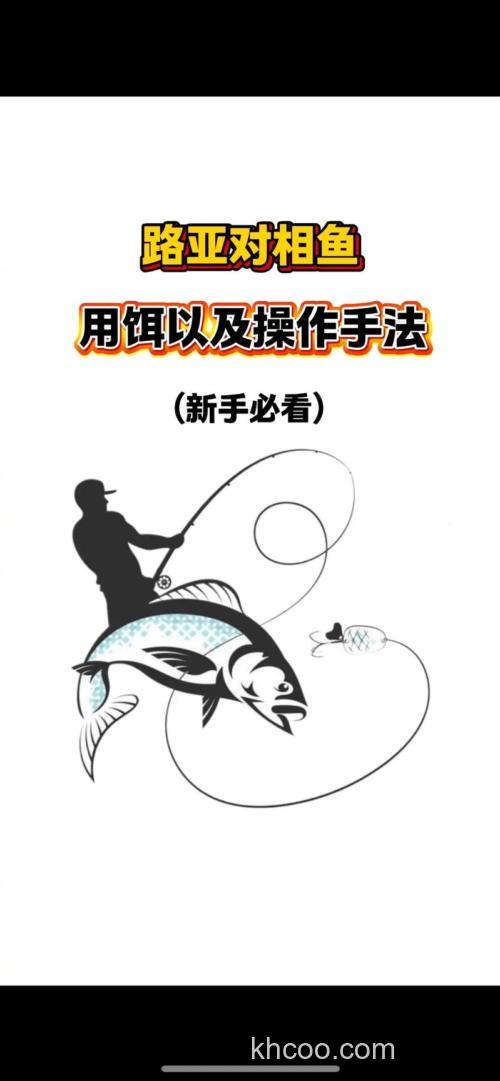 怎样制作的诱饵才能吸引鱼