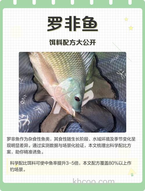 野钓大罗非鱼饵料配方