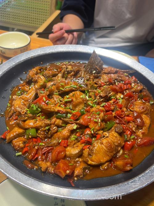 啤酒鱼选什么鱼？