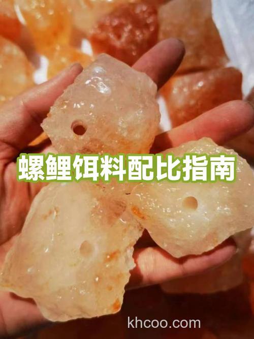 荒王螺鲤饵料配方？