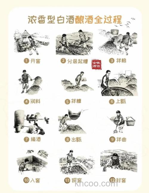 酒曲最简单的制作方法?