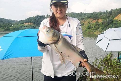 果酸钓什么鱼效果最好？