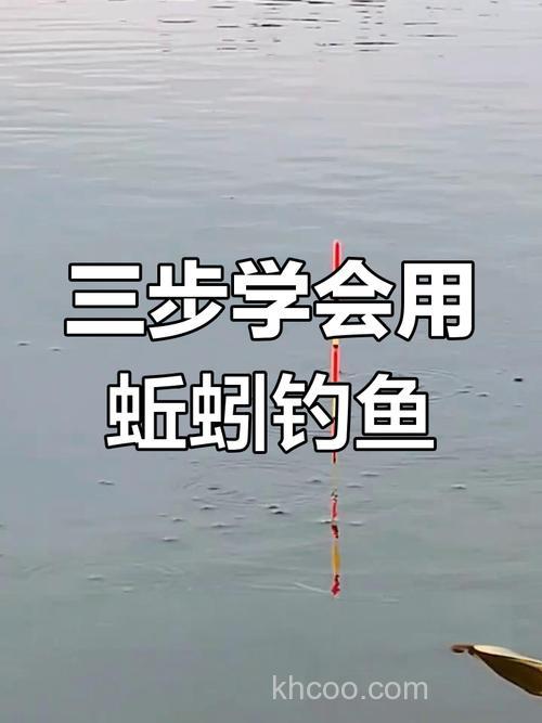 蚯蚓鳙鱼饵,蚯蚓蘸什么好钓鲫鱼