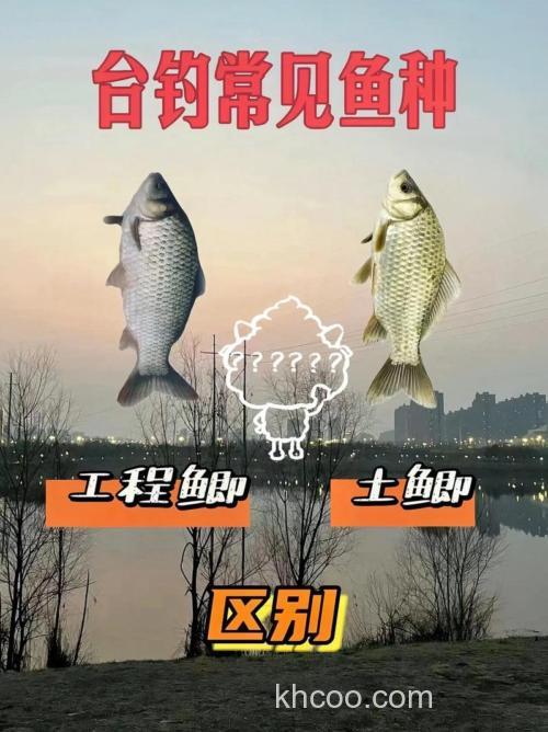 池塘台钓鲫鱼与野钓的不同之处（下）