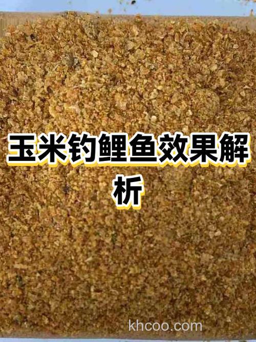 玉米钓鲤鱼效果怎么样
