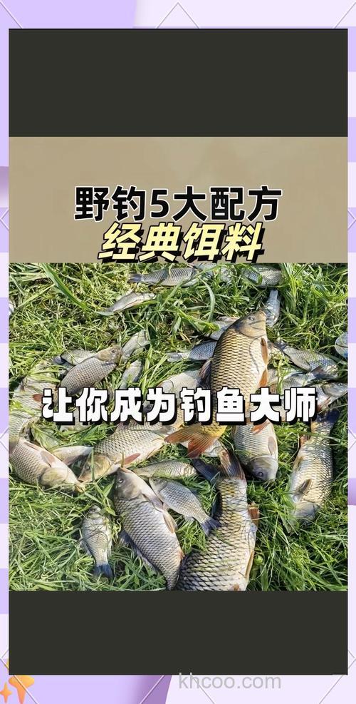 全能腥钓什么鱼