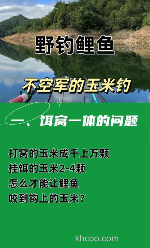 怎样用玉米钓鲤鱼