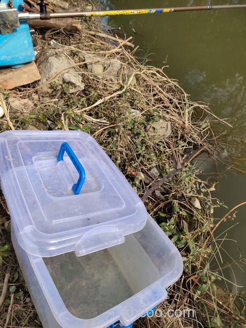 钓鱼窝子什么样的好，