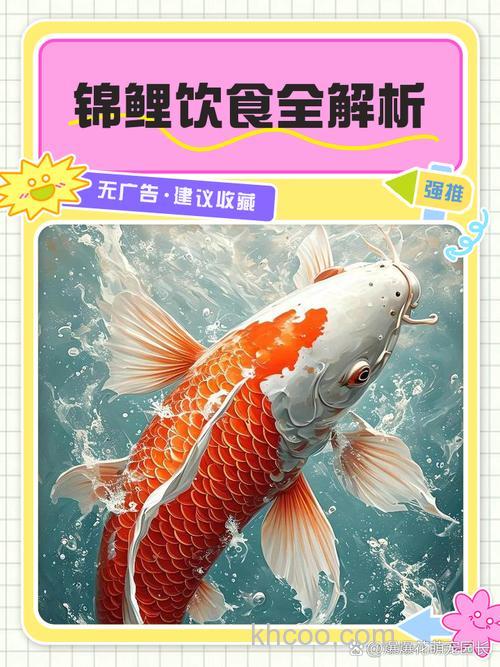 夏季鲤鱼爱吃什么味道？