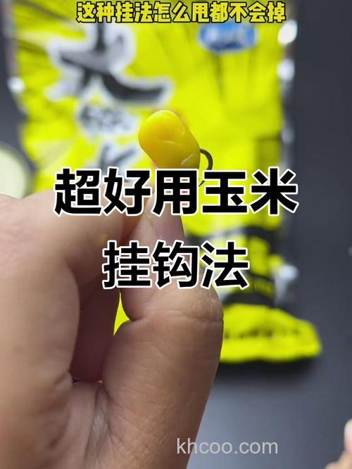 包谷钓鱼正确挂钩法