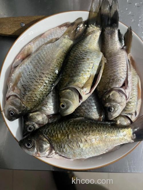 小鲫鱼怎么保存