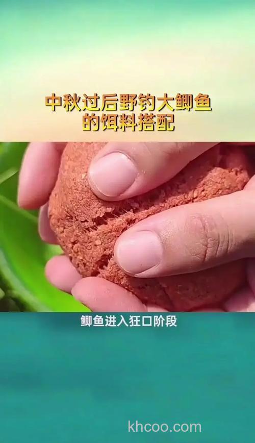 中秋钓鲫鱼用奶香还是麝香？