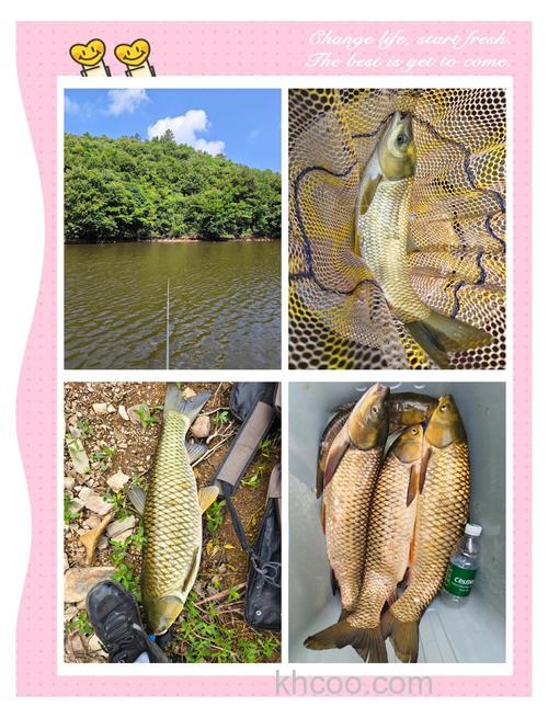 有水草的水塘里有什么鱼？我都不知道买哪种鱼的鱼饵了