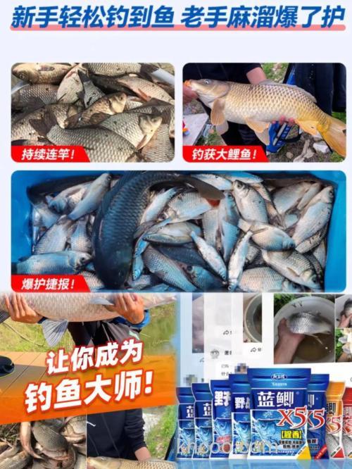 鲫鱼套餐能钓鲤鱼吗？