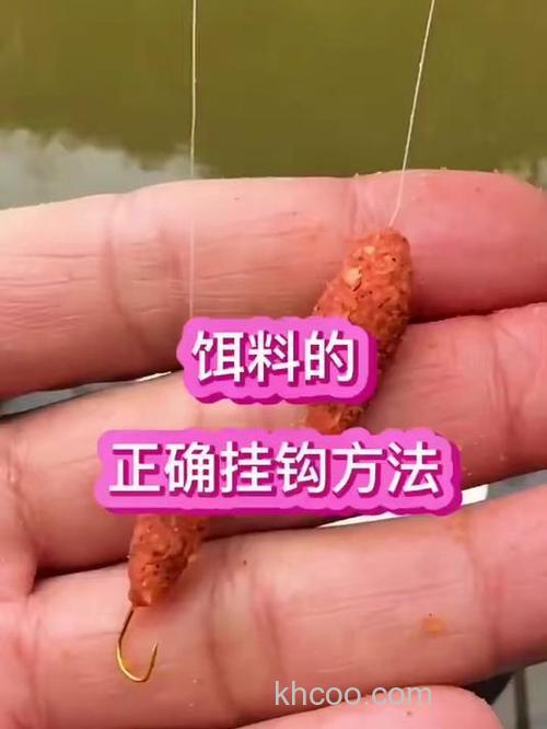 开的鲤鱼饵料挂不住怎么办？