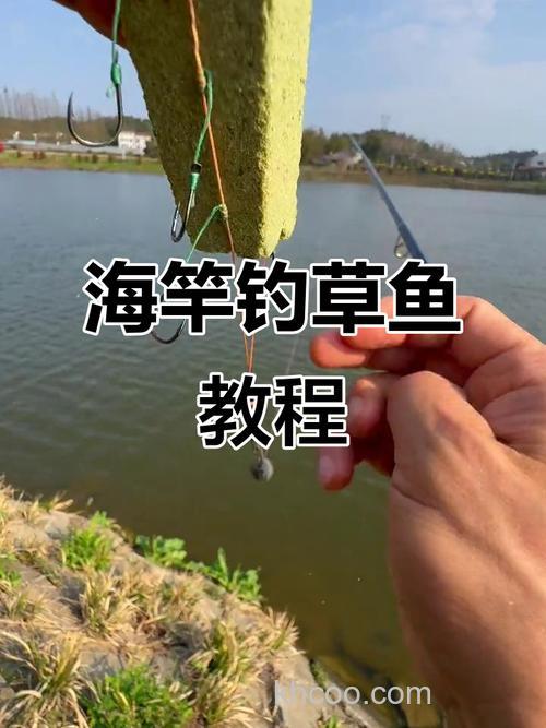 水库海竿钓草，鲤的一些方法