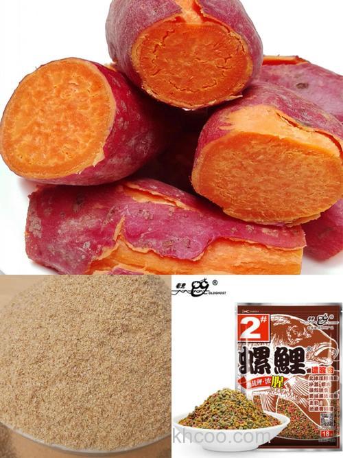 红薯加螺鲤怎么开饵？