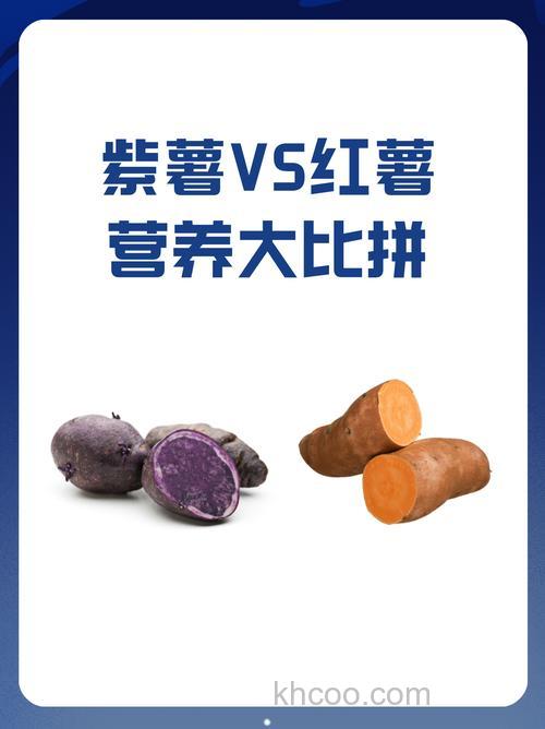紫薯钓鲫鱼好还是红薯好？