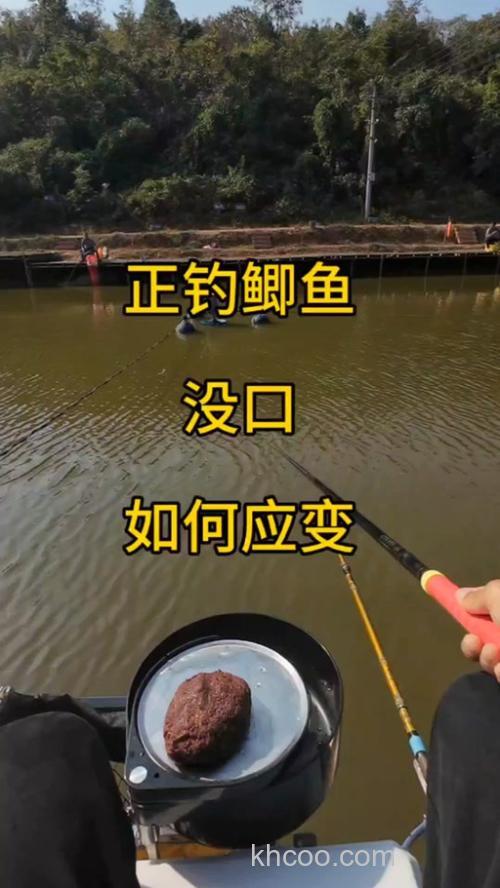 黑坑鲫鱼怎么钓