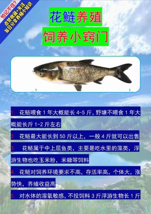 求助:天然水库怎么诱鲢鱼?大神们帮帮忙