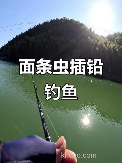 面条虫插铅用几克？