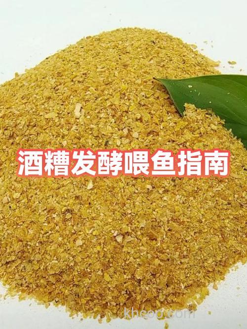 酒糟发酵后喂鱼效果如何？