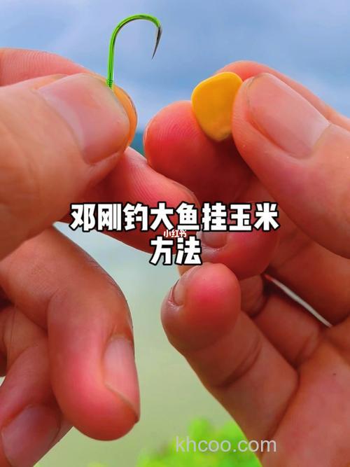 邓刚玉米钓鲤鱼正确方法？