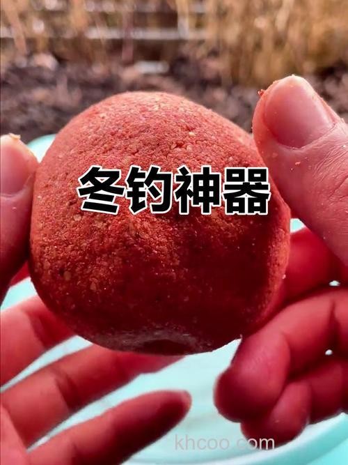 随州冬天钓鱼用什么饵料好