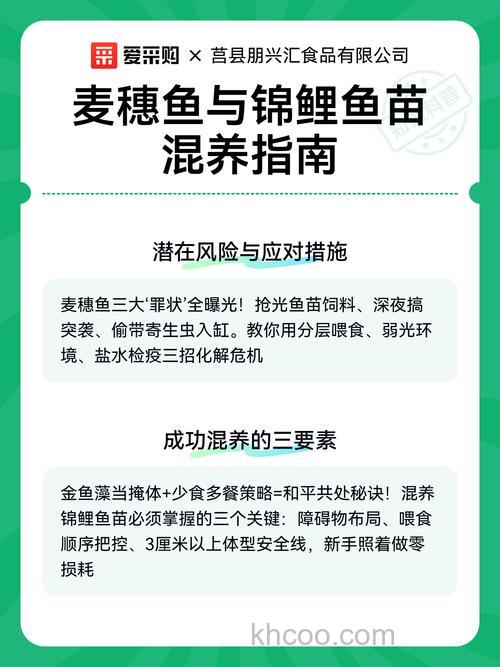 麦穗鱼能和锦鲤混养吗？