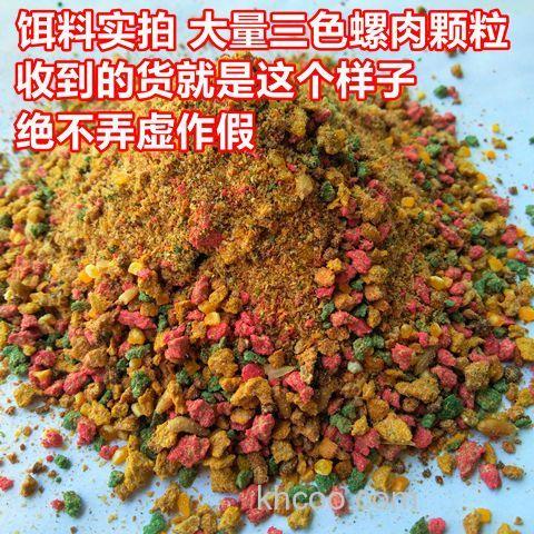 爆炸钓鱼鲤鱼饵料配方