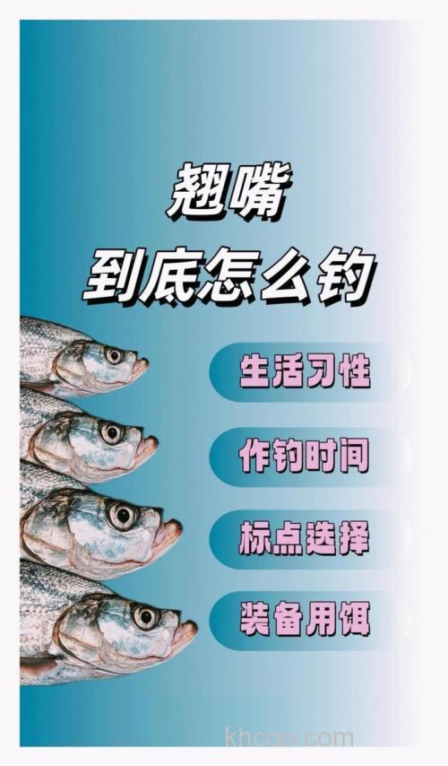 长株潭台钓翘嘴攻略：钓位选择及不同季节时间调整要点