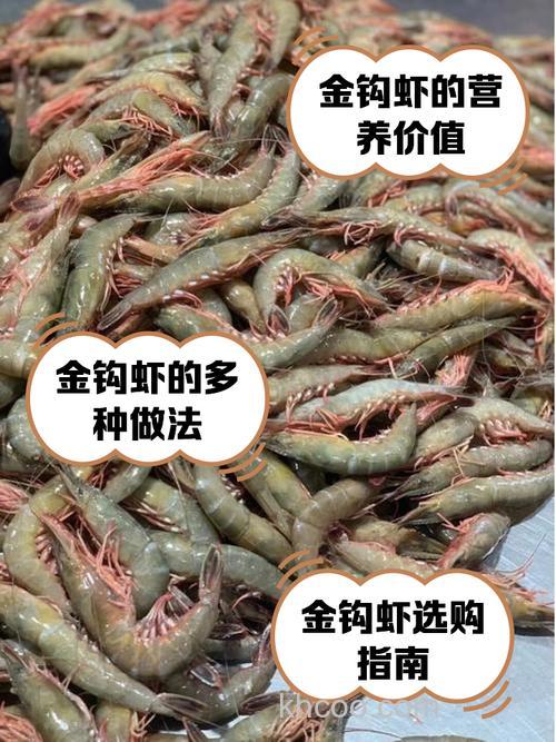 用螺丝肉钓鱼能钓到什么鱼，效果如何，哪位大虾试过？