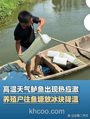 鱼塘里可以放猪油下去对鱼有影响吗