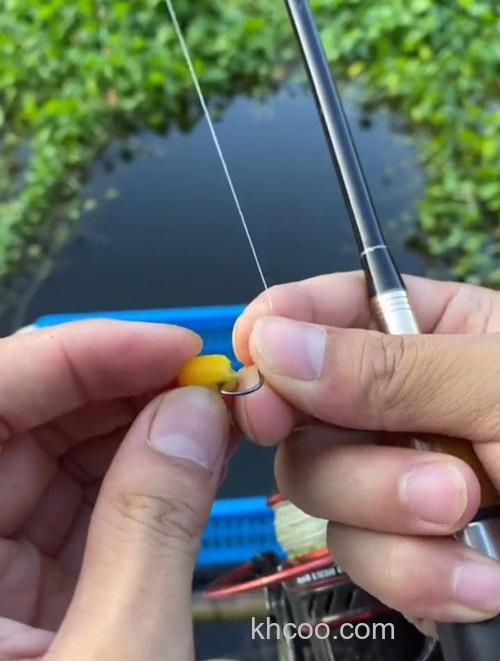 白酒钓鱼效果如何？