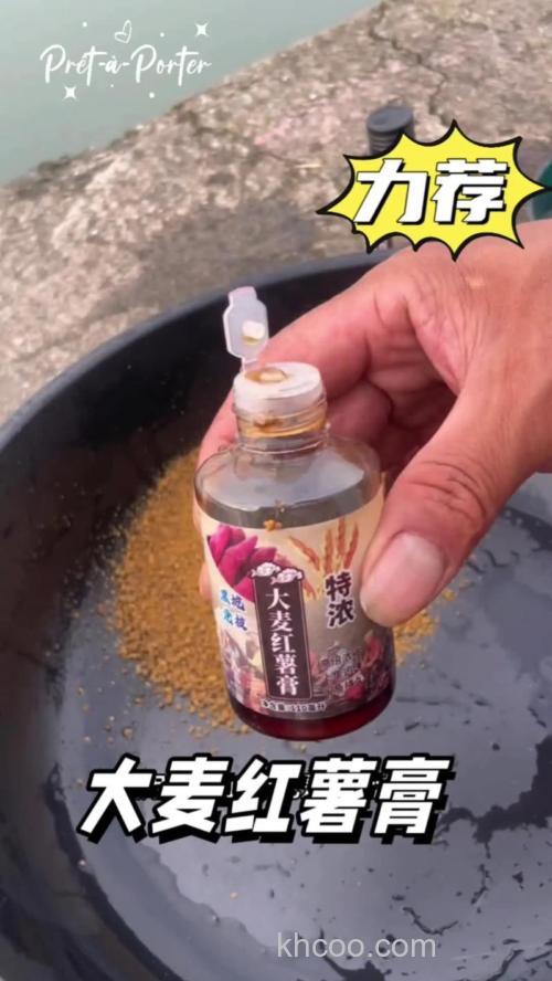 大麦膏钓鲤鱼怎么样？