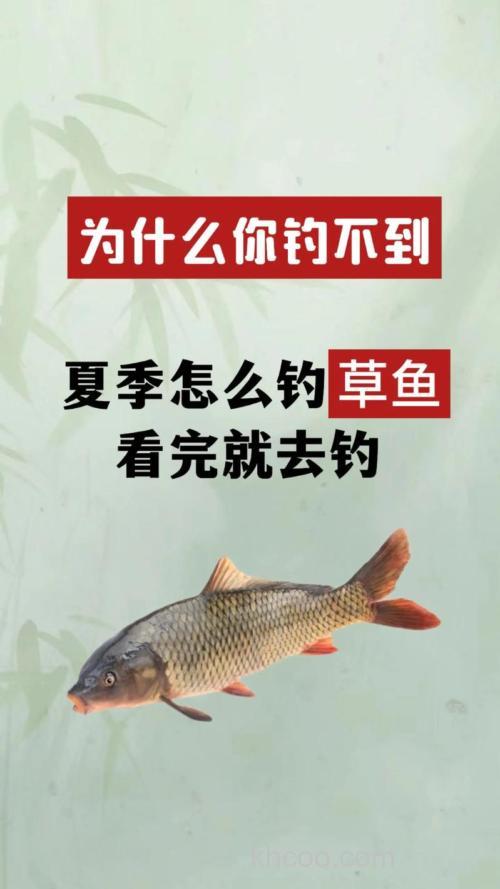 为什么有草鱼，很多人都钓不上来