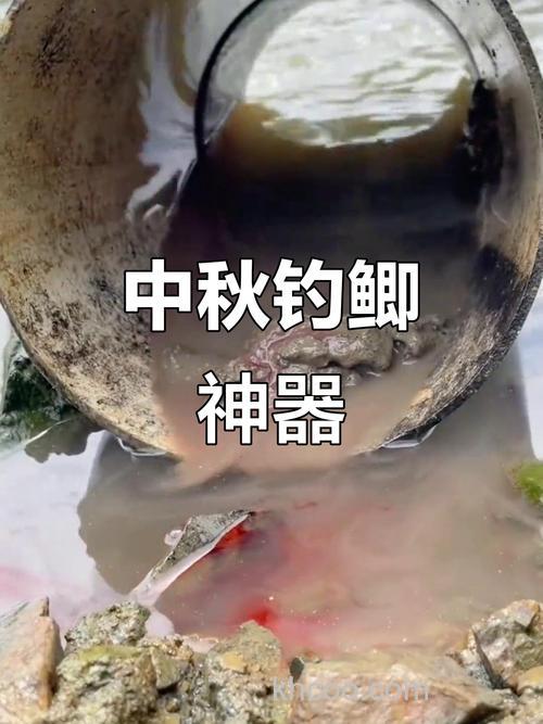 中秋钓鲫鱼饵料?